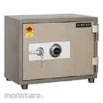 Ichiko Brankas Without Alarm