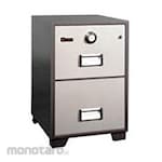 Lion Metal File Proof Filing Cabinet