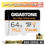 Gigastone 10x High Endurance MLC Micro SD Card