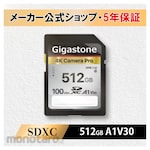 Gigastone UHS-1, U3, C10 SDXC card