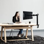 TRUSCO Monitor Arm Mechanical