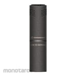 Sennheiser Stereo Pair