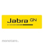 Jabra Headset USB Duo MS