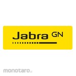 Jabra Headset USB Duo MS