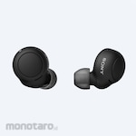 SONY Wireless Headphone (Earphone)