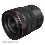Canon RF lens RF 14-35mm F4 L IS USM