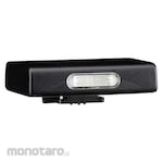 Ricoh Compact flash GF-2