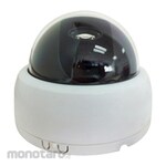 SILICON Low Light Camera