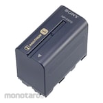 SONY Rechargeable Battery Pack