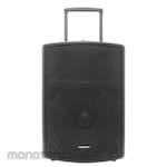 Polytron Professional Active Speaker