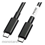 SANWA SUPPLY Conversion Active Cable