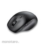 Robot Mouse