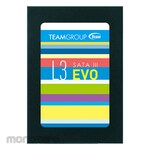 Team SSD L3 Evo