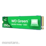Western Digital Solid State Drive Green SN350 NVMe