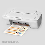 Canon Printer Pixma MG2570