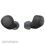 SONY Truly Wireless Earbuds