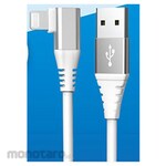 Magnetic Laboratries L-shaped Lightning cable