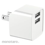Magnetic Laboratries AC charger