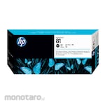 HP Dye Printhead and Cleaner 81