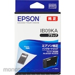 Epson Genuine Ink Cartridge Ib09 Symbol : Calculator (Tinta Printer)