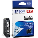 Epson Genuine Ink Cartridge Ib10 Symbol : Card Case (Tinta Printer)