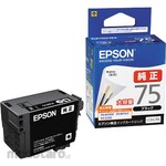 Epson Genuine Ink Cartridge Ic75 (Tinta Printer)