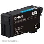 Epson Ink Cartridge Cyan (Tinta Printer)