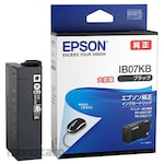 Epson Ink Cartridge IB07 (Tinta Printer)