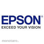 Epson Ink Printer T950 Series (Tinta Printer)