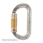 ALPIN Climbing Carabiner