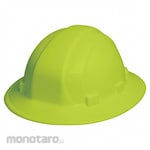 DELTAPLUS USA Hard Hat