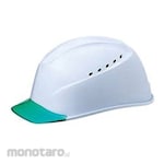 TANIZAWA Helmet Transparent Canopy