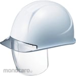 TANIZAWA Shield Helmet
