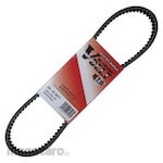 NTB Belt