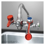WATERSAVER FAUCET COMPANY Supplemental Eyewash Bottle & Station