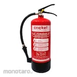 Cricket Safety AFFP Foam