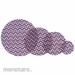 3M Xtract Cubitron II Net Disc