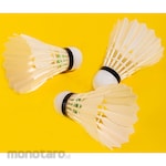 Deli Agnite Badminton Ball