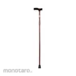 Sowell Walking Stick