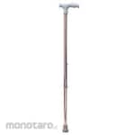 GEA Tongkat Kaki 1 FS 920L