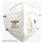 LAKELAND KN95 Mask with Valve (Masker KN95)