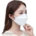 Orlee Masker KF94