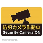Just Corp. Security Camera Sticker