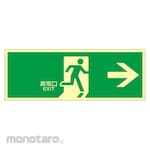 GREEN CROSS High-Intensity Glow-in-the-Dark Emergency Exit Guide Sticker