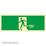 Japan Green Cross High-Intensity Phosphorescent Exit Sign