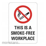 LYLE Aluminum No Smoking Sign