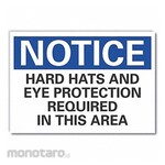 LYLE Hard Hat Notice Label