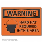 LYLE Hard Hat Warning Label