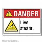 LYLE Live Steam Danger Label
