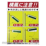 Non Brand A Guide To Windsock And Wind Speed